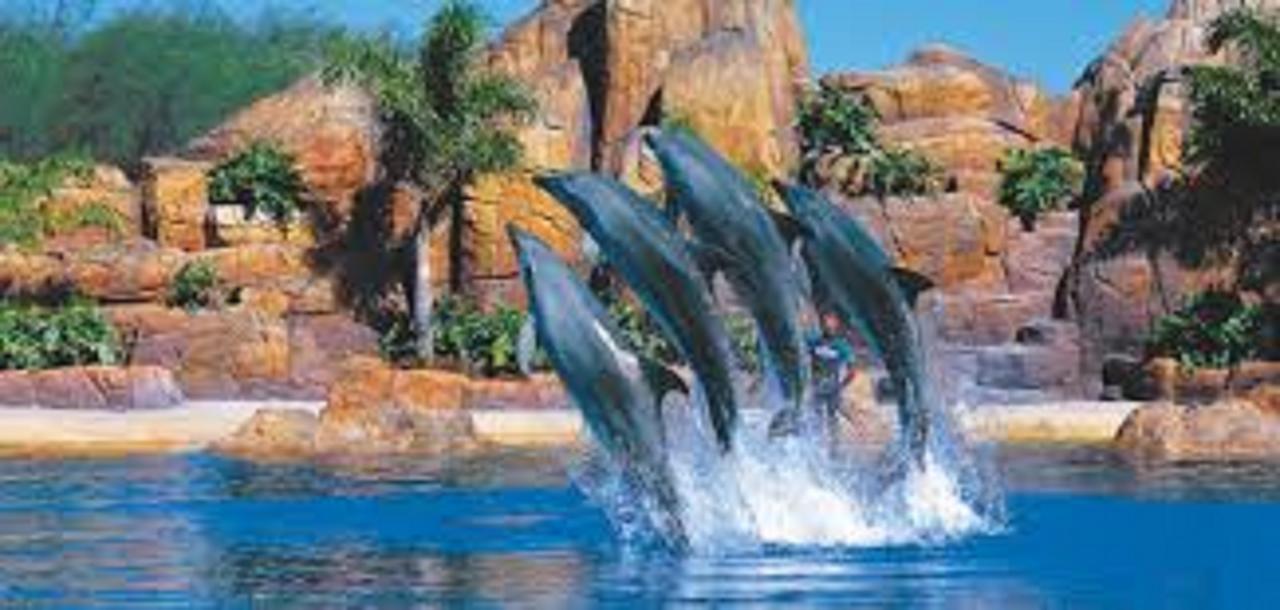 Gold Coast Theme Park Family Villa エクステリア 写真